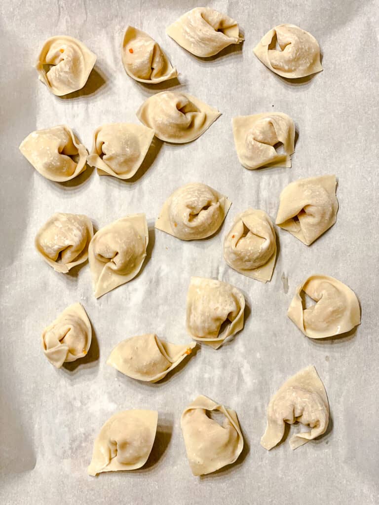 several pre-fried wontons spread out against light surface