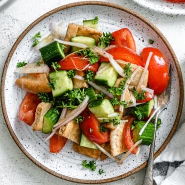 completed Panzanella Salad plated against a white surface