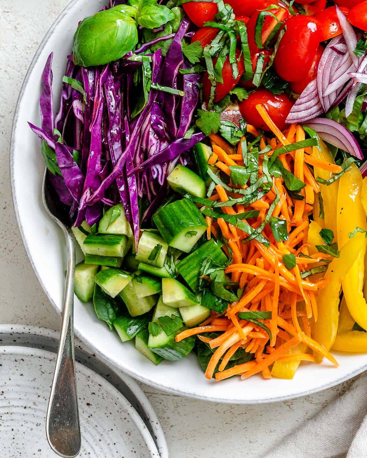 completed Rainbow Salad against a white surface