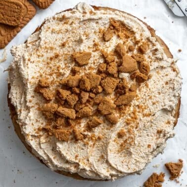 completed Vegan Biscoff Cake against a white surface