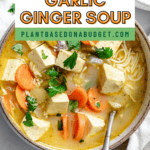 pin for Garlic Ginger Soup [With Noodles]