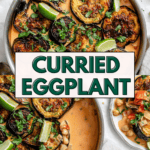 pin for Quick Eggplant Curry